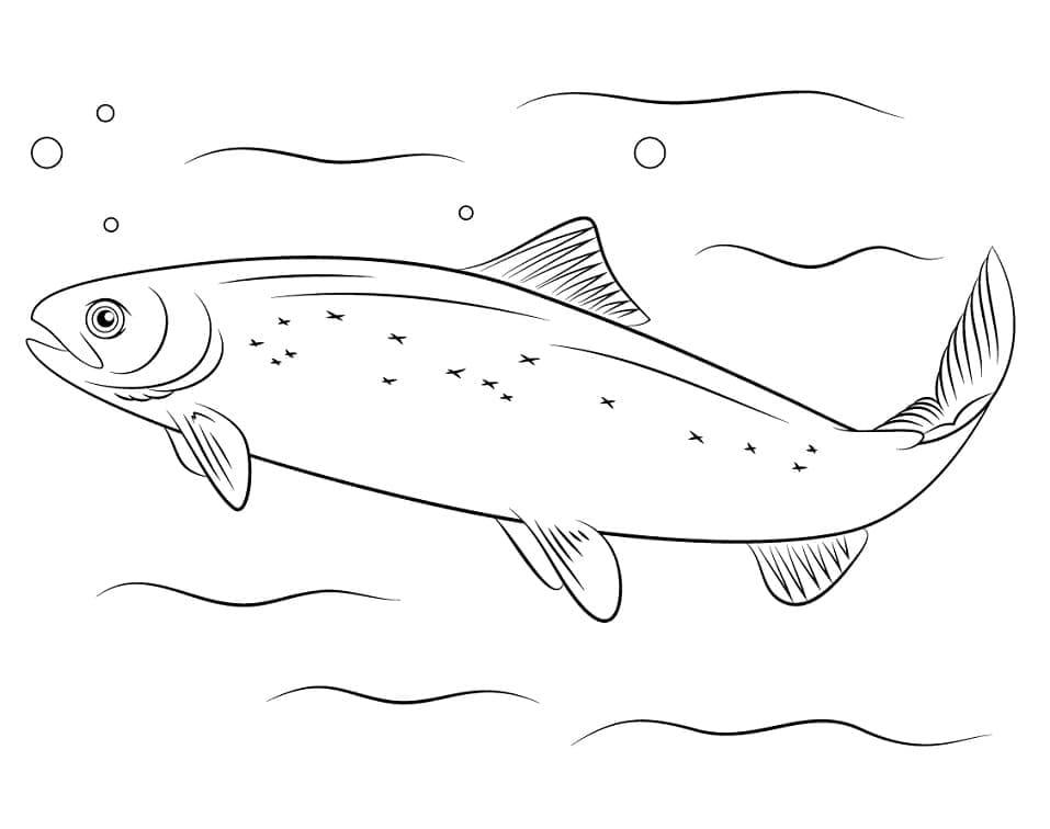 Desenho De salmão Do atlântico Para Colorir