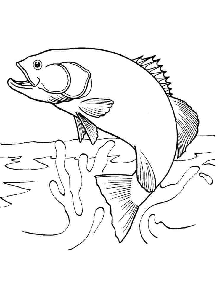 Desenho De salmão Saltador Para Colorir