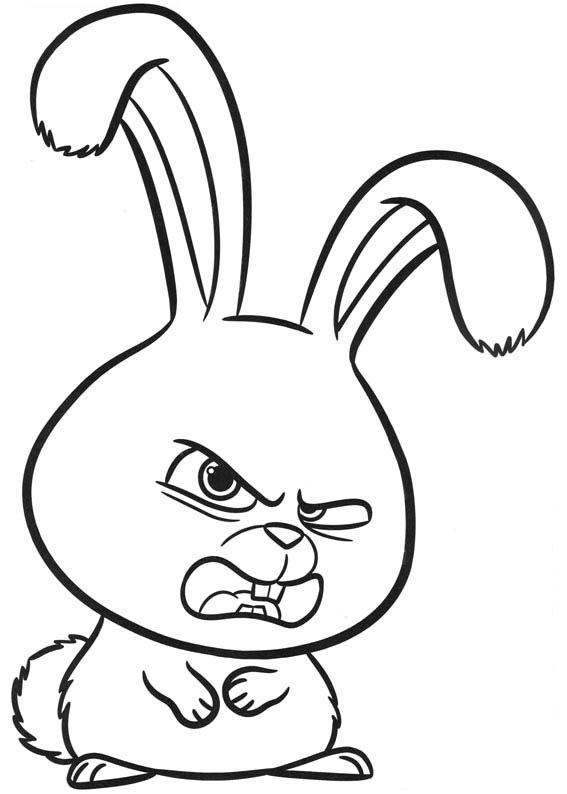 Desenho De Bola De Neve Irritado De A Vida secretá Dos Nossos Bichos Para Colorir