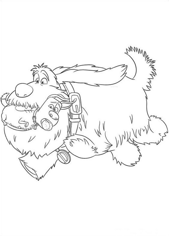 Desenho De Duke e Max Correndo Para Uma aventurá Para Baixar e Colorir