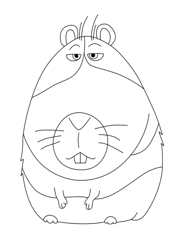 Desenho Do Norman A Vida secretá Dos Nossos Bichos Para Colorir