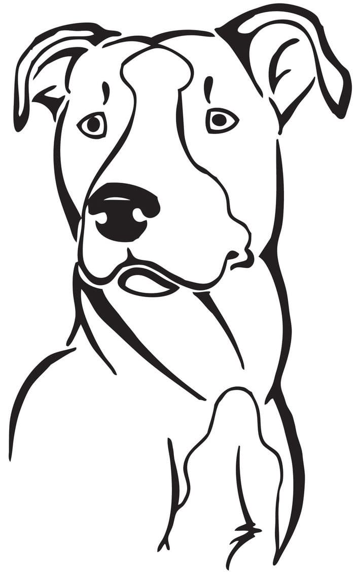 Desenho De Pitbull engraçado Para Colorir