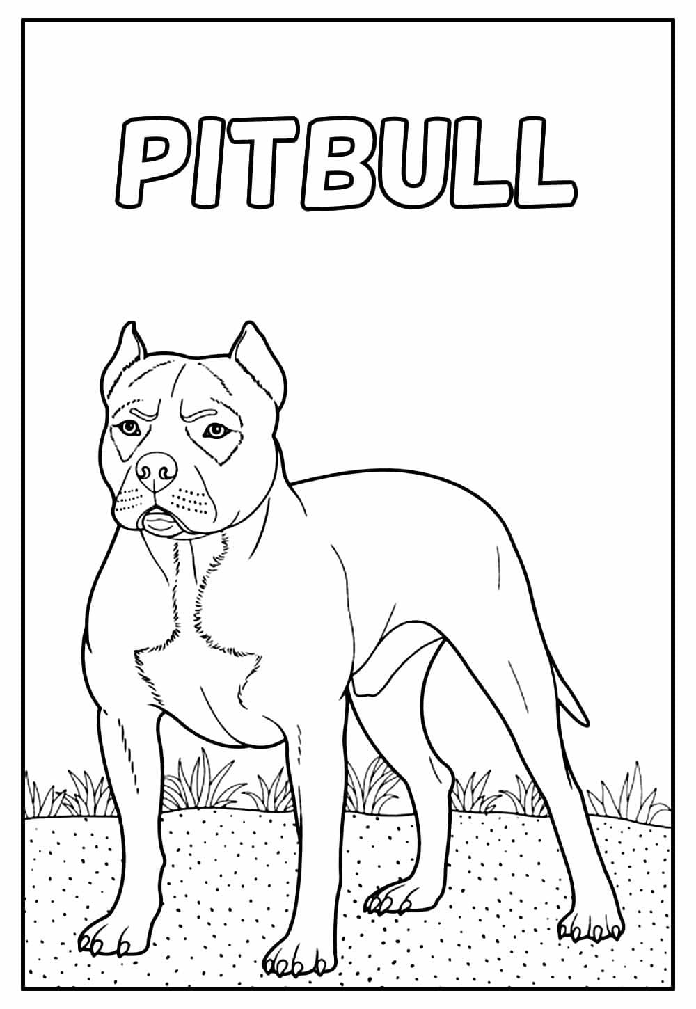 Desenho De Pitbull grátis Para Colorir