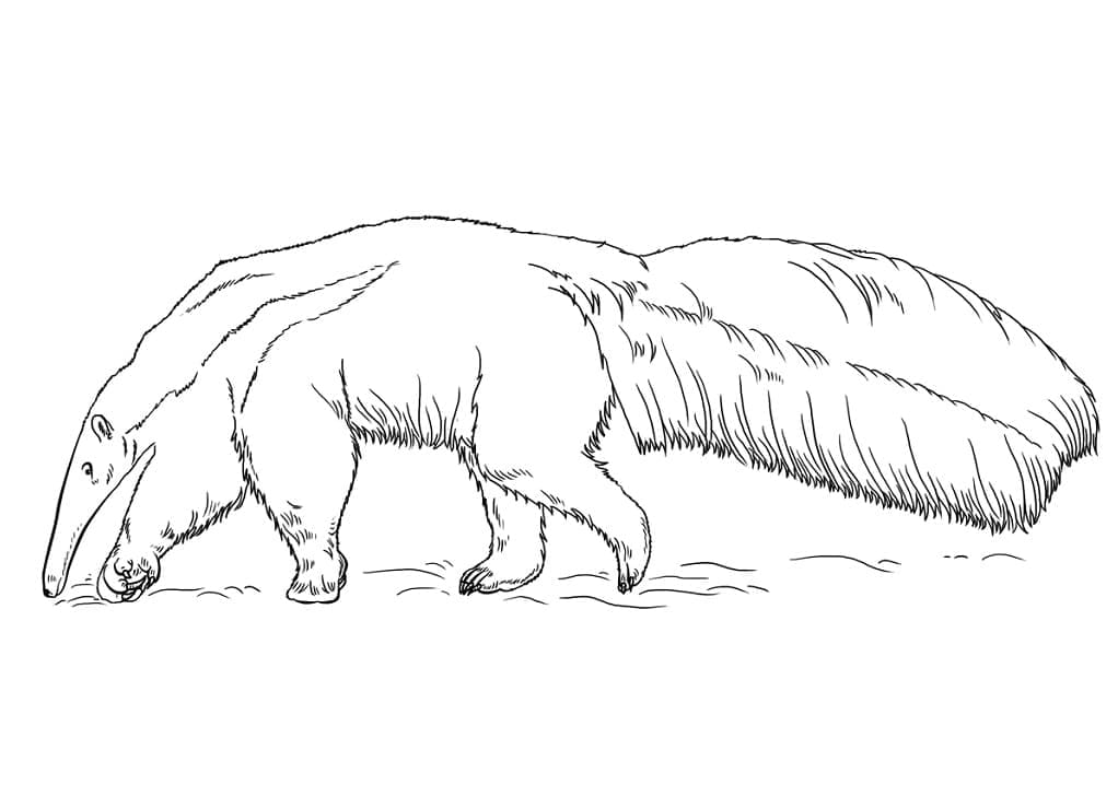 Desenho De tamanduá Na Natureza Para Colorir