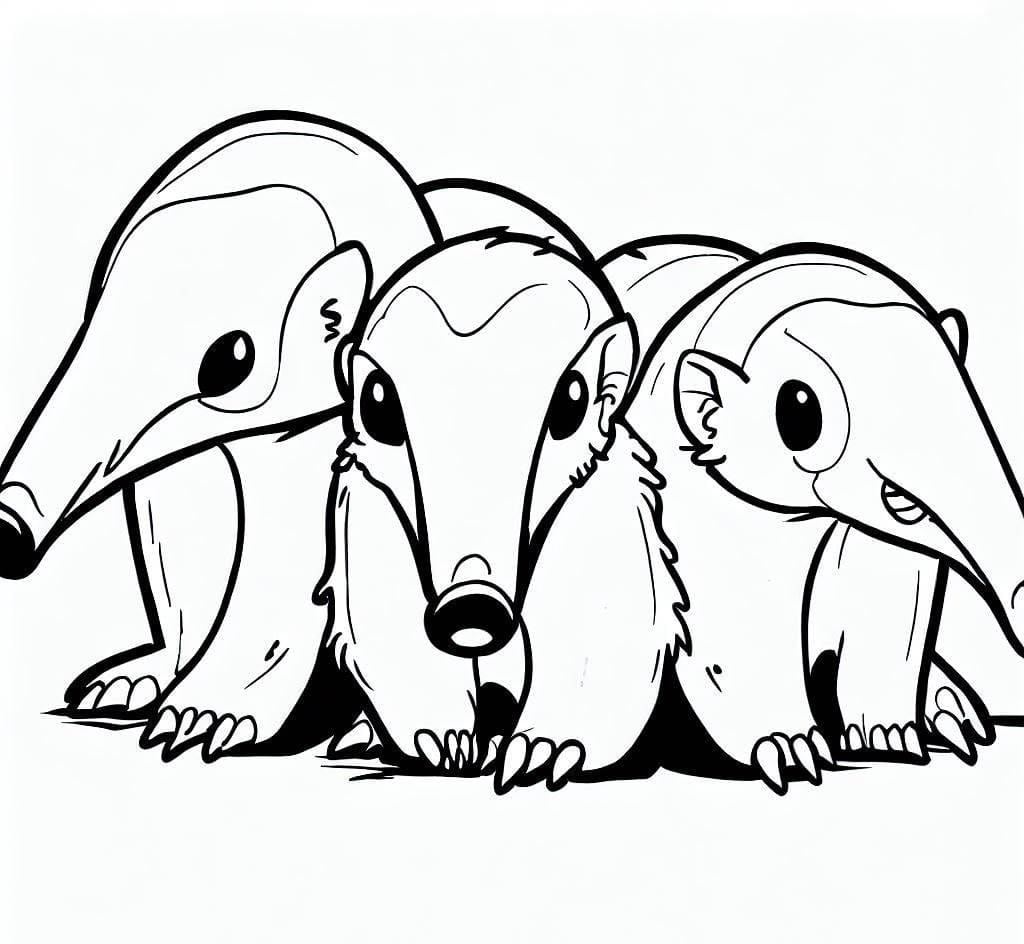 Desenho De tamanduás Para Colorir