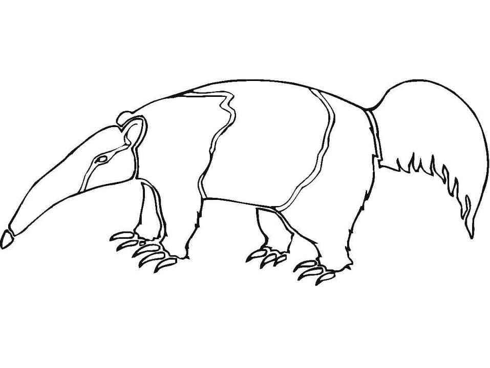 Desenho De Um tamanduá Para Colorir