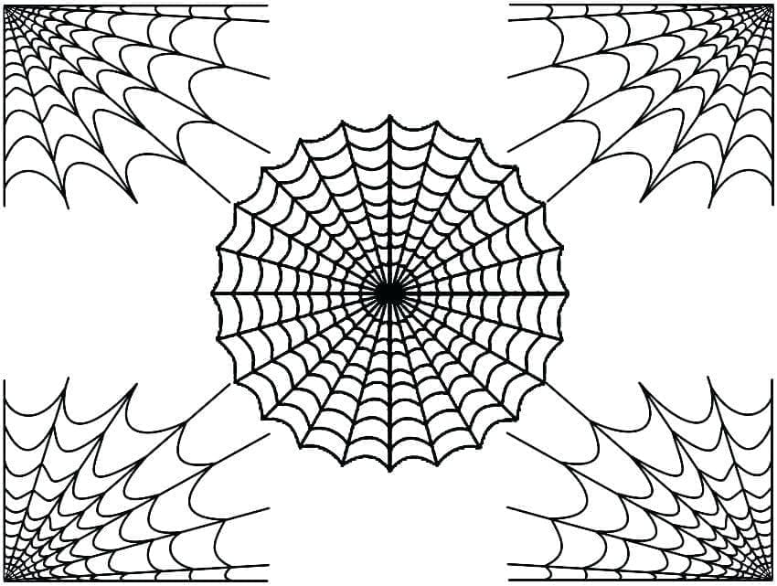 Desenho De Teia De Aranha 1 Para Colorir