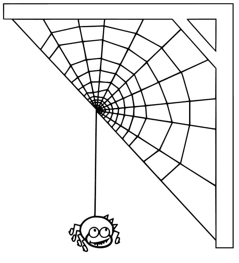 Desenho De Teia De Aranha 2 Para Colorir