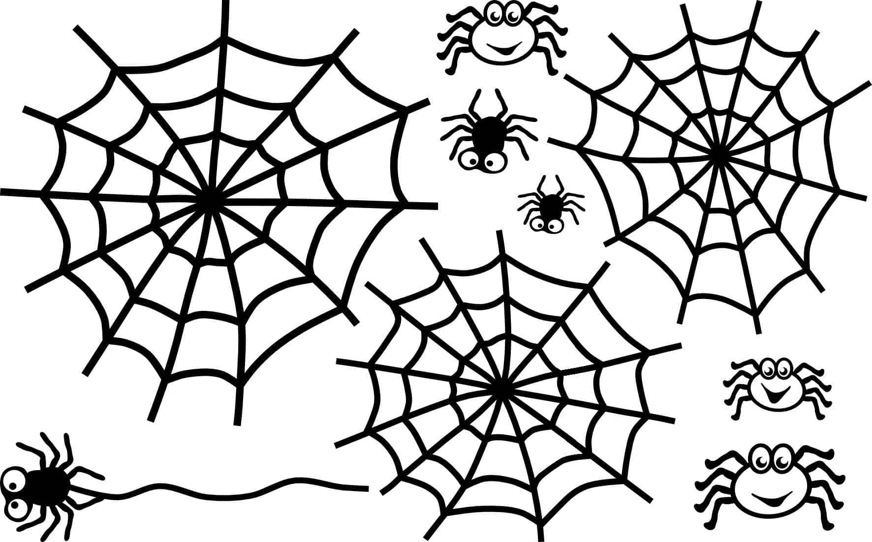 Desenho De Teia De Aranha 5 Para Colorir