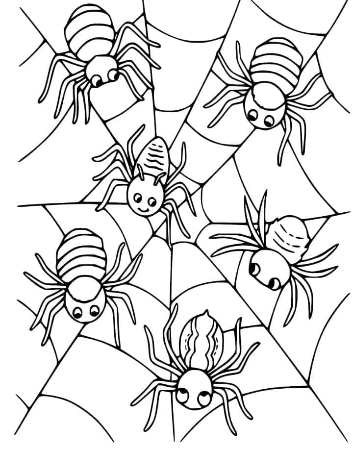 Desenho De Teia De Aranha 6 Para Colorir