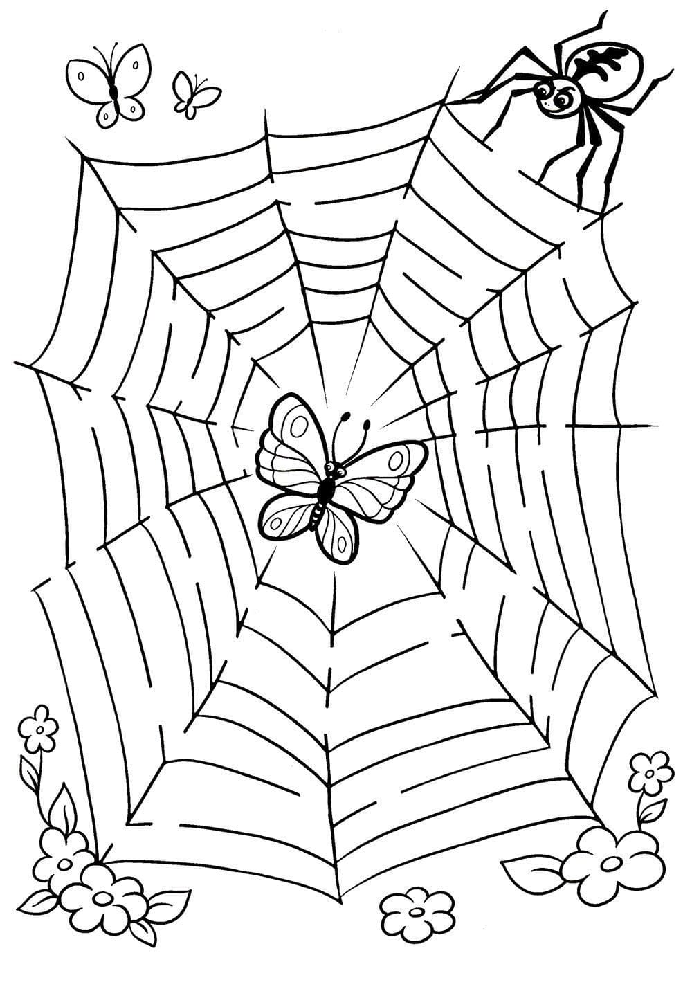 Desenho De Teia De Aranha grátis Para crianças Para Colorir