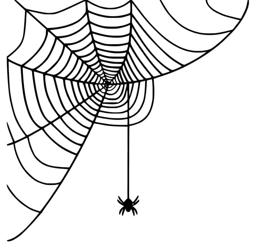 Desenho De Teia De Aranha Halloween Para Colorir