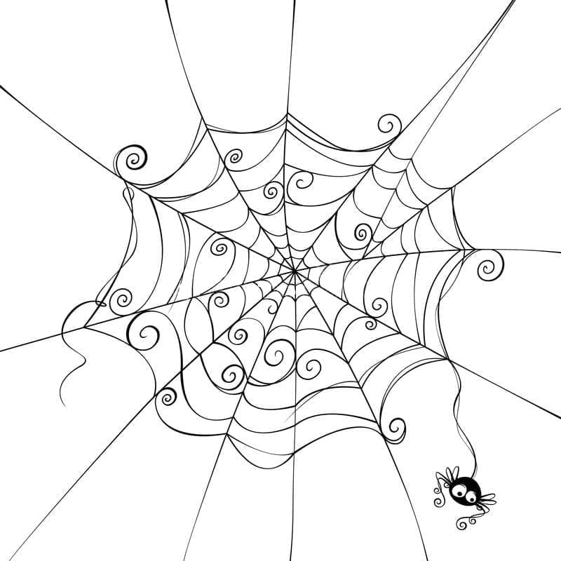 Desenho De Uma Aranha e Teia De Aranha Para Colorir
