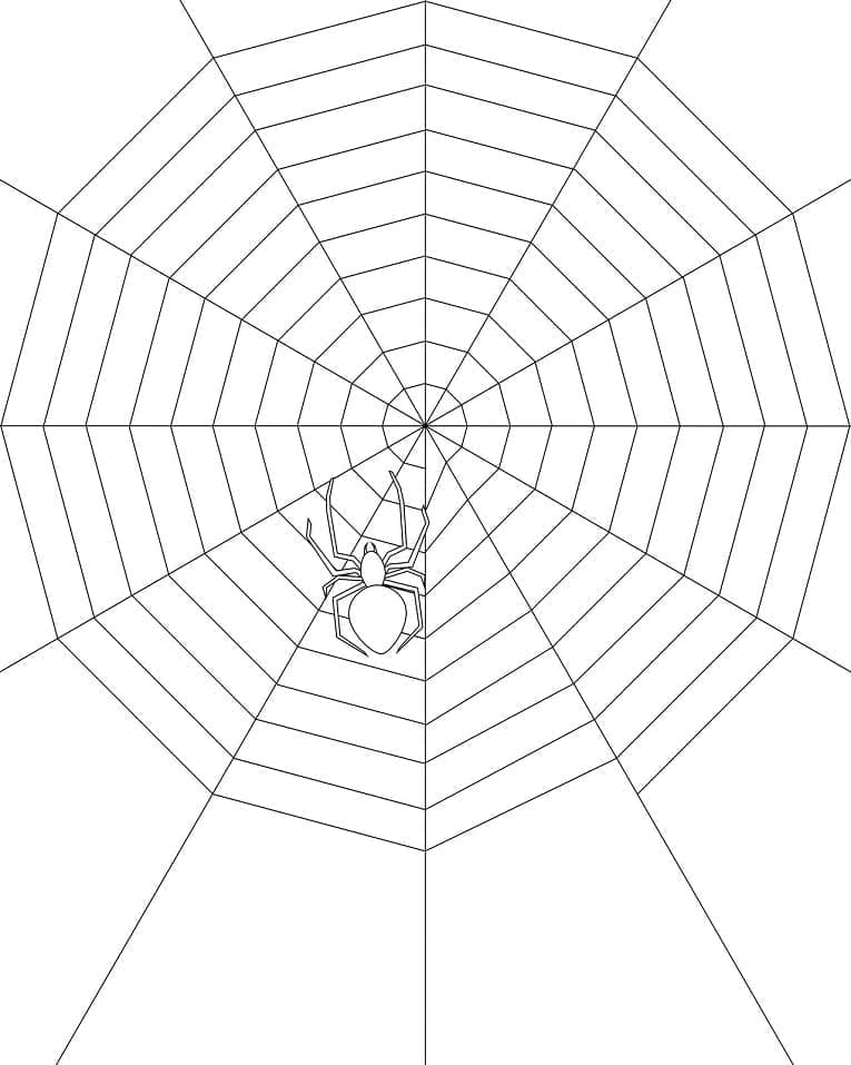 Desenho De Uma Teia De Aranha fácil Para Colorir