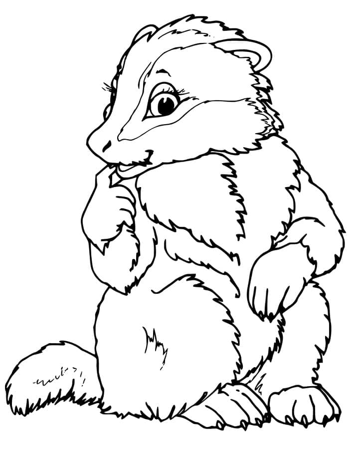 Desenho De Lindo Texugo Para Colorir