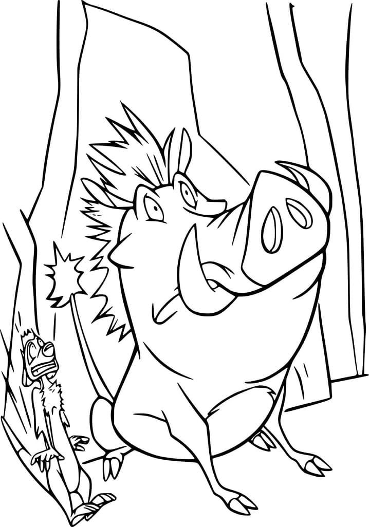 Desenho De timão e Pumba Assustados Para Colorir