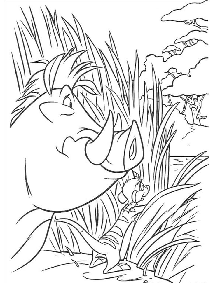 Desenho De timão e Pumba Sorrateiros Para Colorir