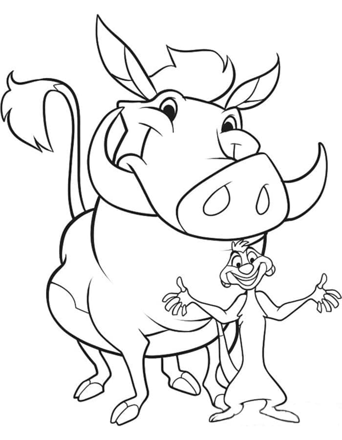 Desenho De timão e Pumba Sorridentes Para Colorir
