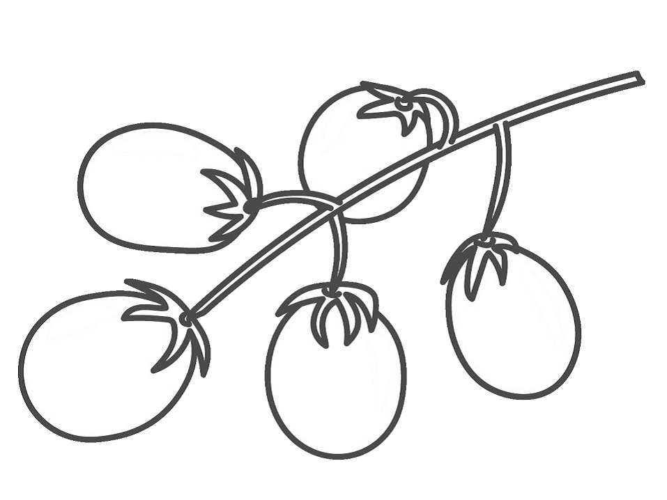Desenho de Tomate Grátis para Colorir