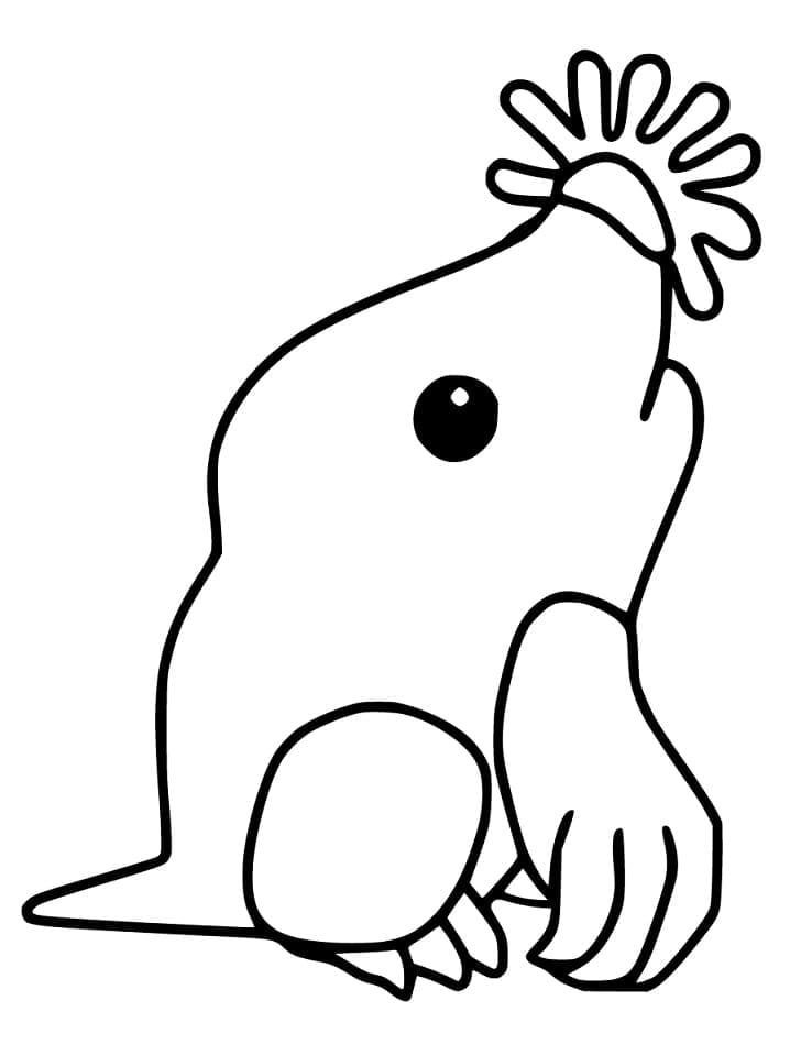 Desenho De Toupeira adorável Para Colorir
