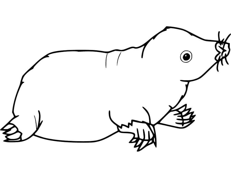 Desenho De Toupeira Curiosa Para Colorir