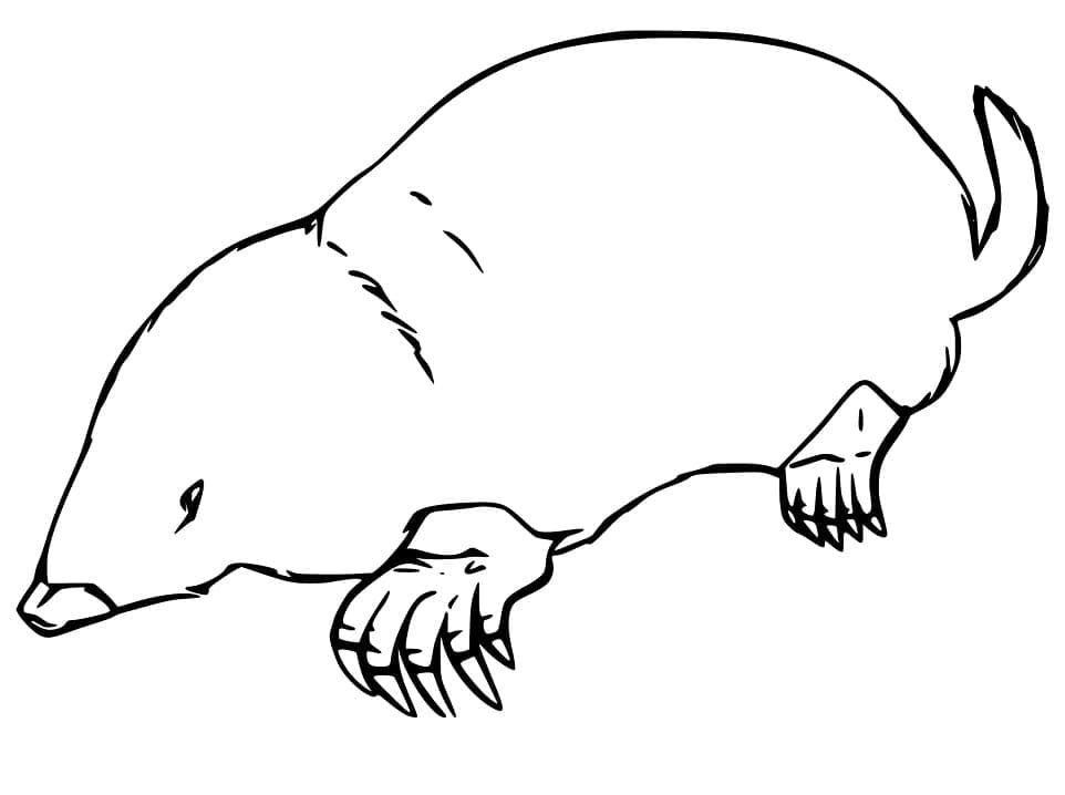 Desenho Imprimivel De Toupeira Para Pintar