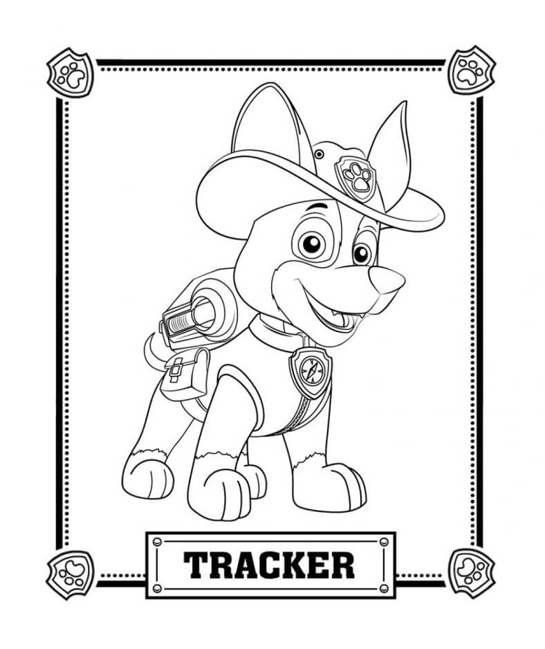 Desenho Tracker De patrulhá Da Pata Para Colorir