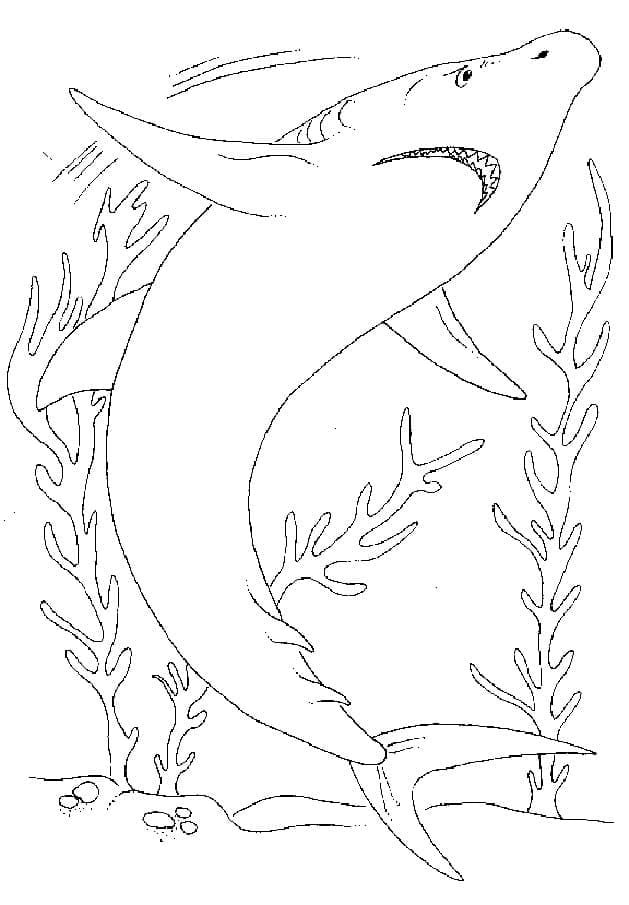 Desenho De tubarão Nadador Para Colorir