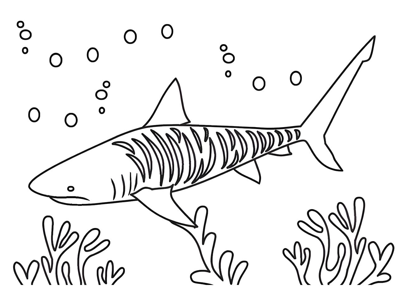 Desenho De tubarão subaquático Para Colorir