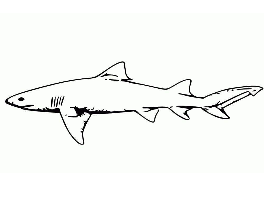 Desenho De Um tubarão fácil Para Colorir