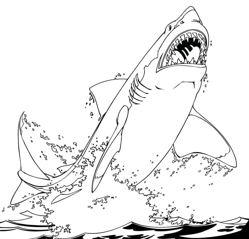 Desenho De Um tubarão Saltador Para Colorir