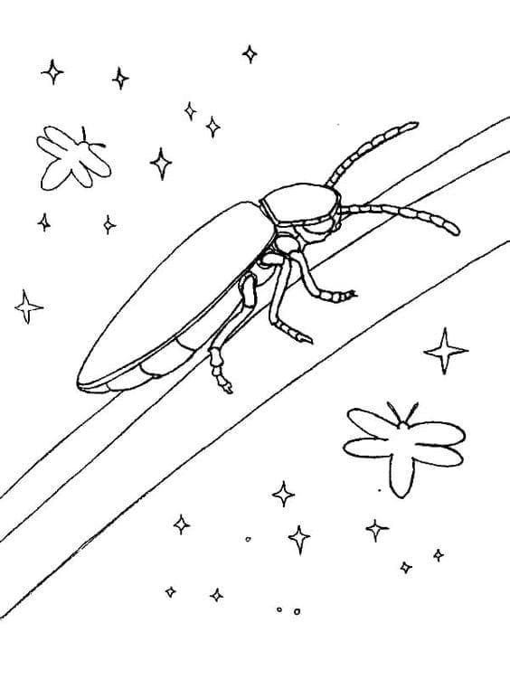 Desenho De Vagalume grátis Para Colorir